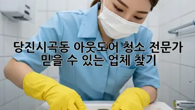 당진시곡동 아웃도어 청소 전문가, 믿을 수 있는 업체 찾기