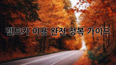 렌트카 이용 완전 정복 가이드