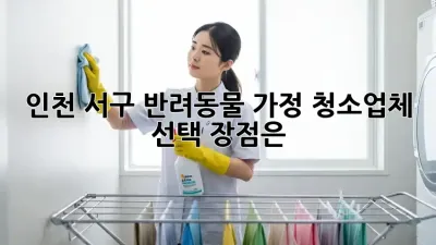 인천 서구 반려동물 가정, 청소업체 선택 장점은?
